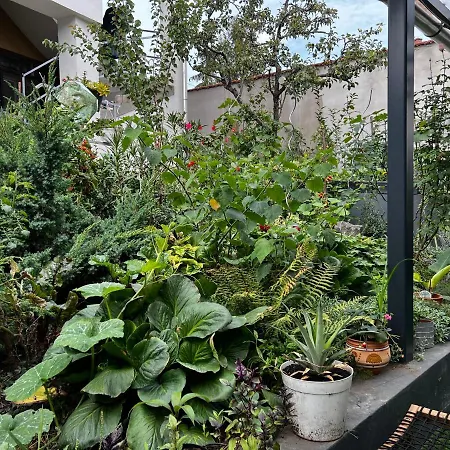 Margareta Garden &