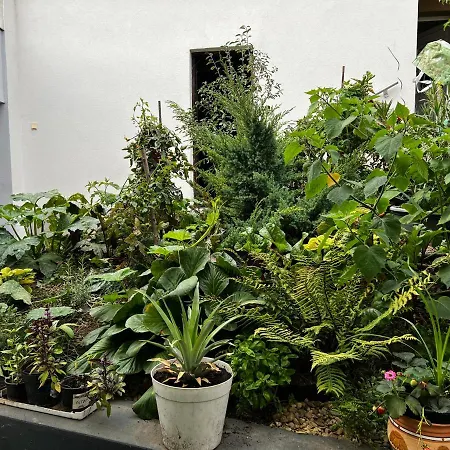 Margareta Garden &