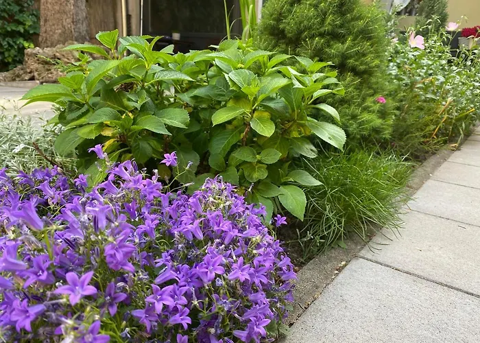 Lejlighedshotel Margareta Garden & Eger