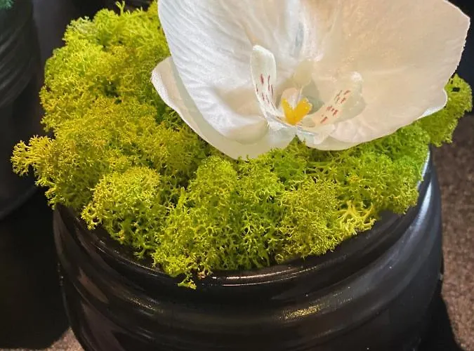 Aparthotel Margareta Garden &