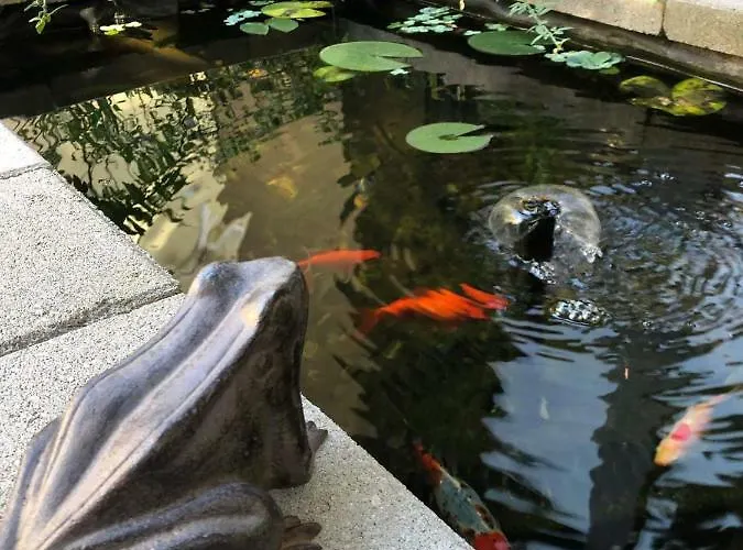 Margareta Garden & Aparthotel Eger